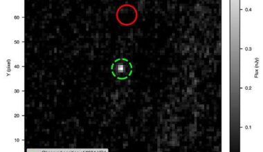 Webb observations confirm safe lunar pass for asteroid 2024 YR4