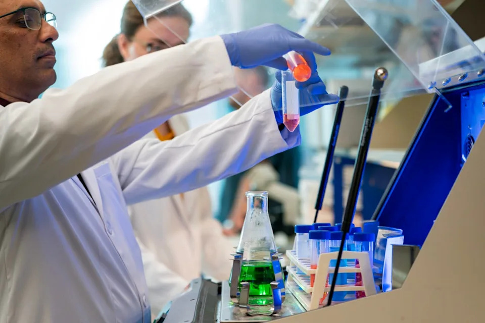 Researchers develop an innovative nasal spray targeting brain aging. (Texas A&M University)