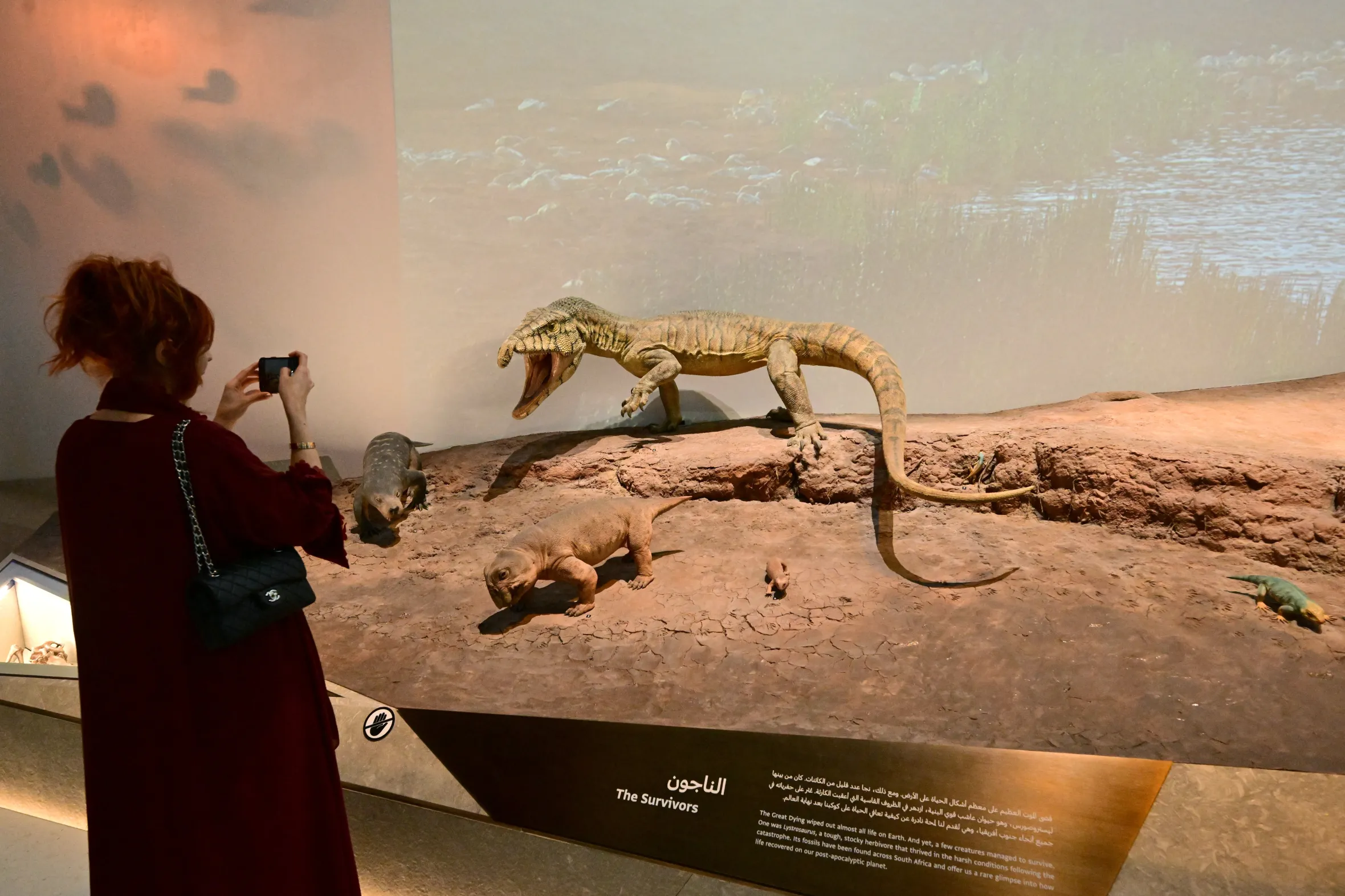 A woman photographs a Lystrosaurus dinosaur fossil and other creatures at the Natural History Museum in Abu Dhabi.