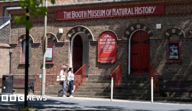 The building of The Booth Museum of Natural History. In front of the building there are red stair railings and two people walking past the building.