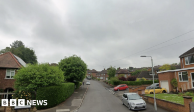 A residential street with green trees and a number of cars on either side