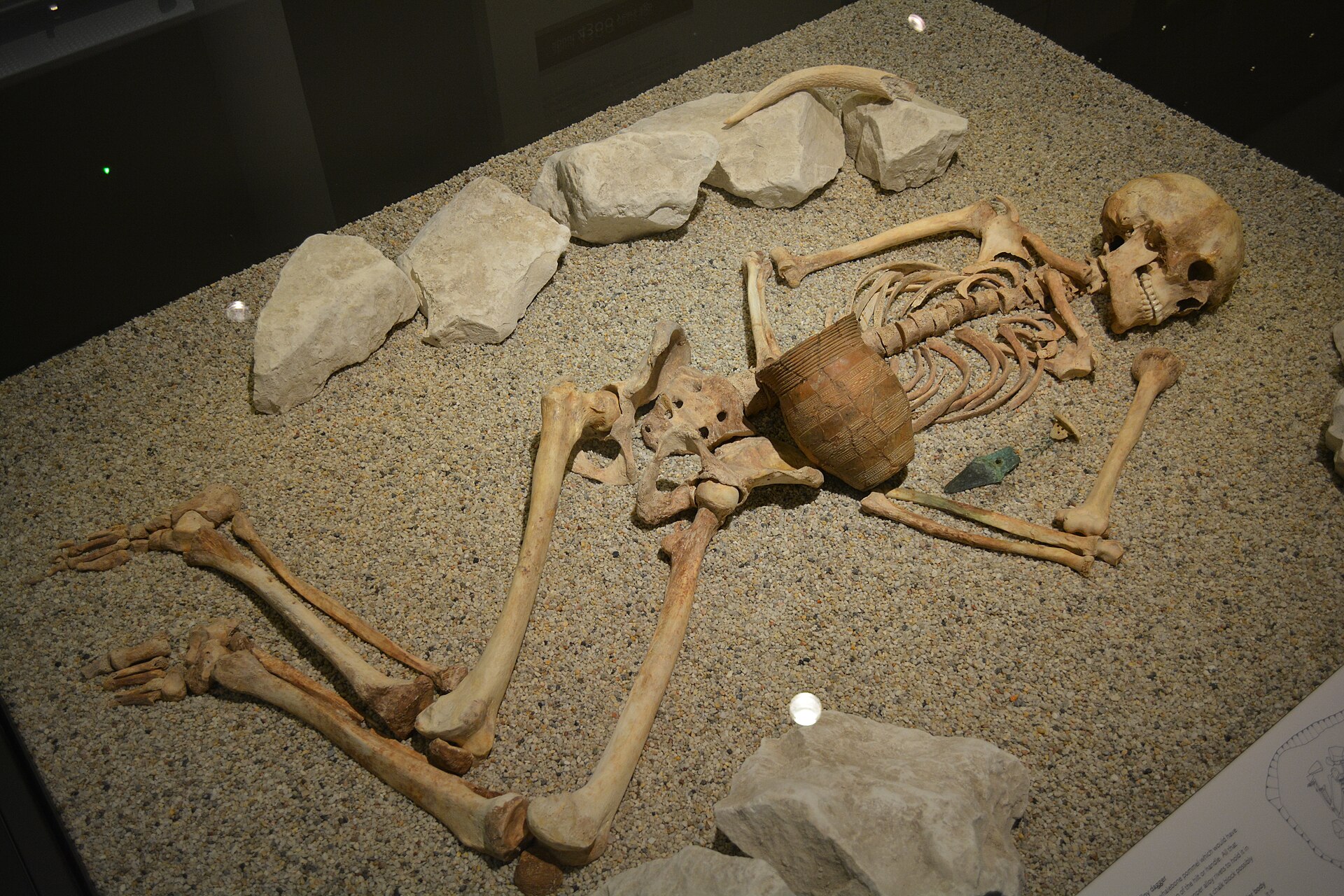 Bell Beaker burial