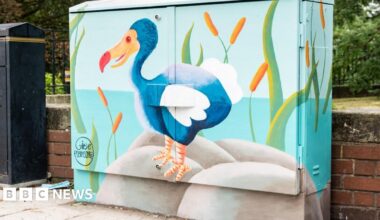 A mural of a blue dodo painted on to a signal box in Shrewsbury. The dodo is standing on a grey rock surrounded by green reeds. In the background is blue water.