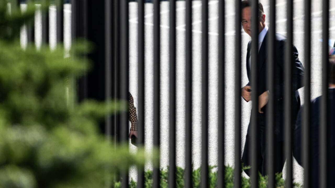 Trump to discuss leaving NATO in meeting with Rutte