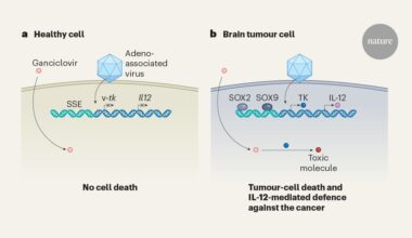 engineered enhancer sequences enlisted to kill cancer cells