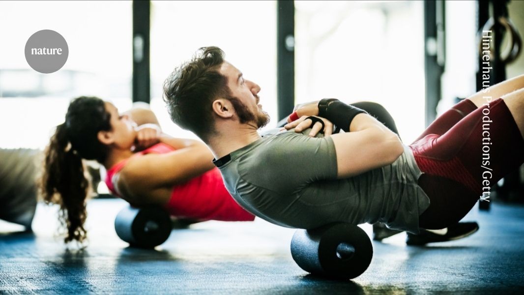 Immune cells have a surprising role in exercise endurance