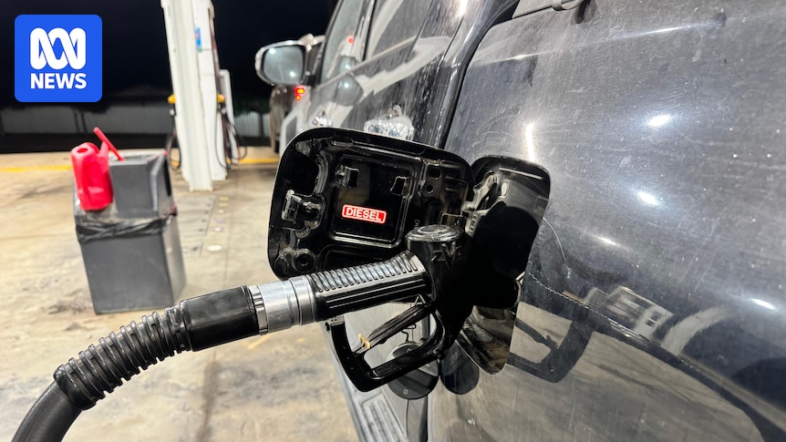 Diesel price surge threatens jobs and household bills