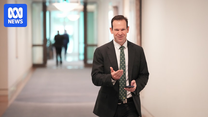 Matt Canavan's 'Australia on steroids' economic plan looks to the stars, manufacturing and a baby boom