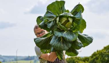 23 ways to boost your daily fibre