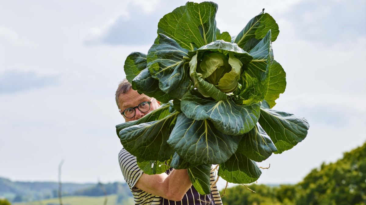 23 ways to boost your daily fibre