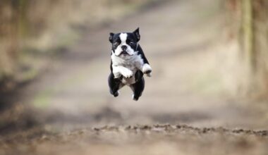 Datadog digs down into GPU efficiency as AI costs soar • The Register