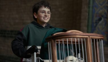 Harry Potter HBO Series Sets Behind-the-Scenes Special