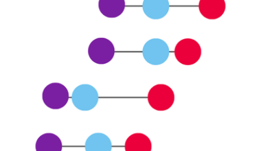 A growing gap? ICB variation in elective care waiting times in 2019 and 2025