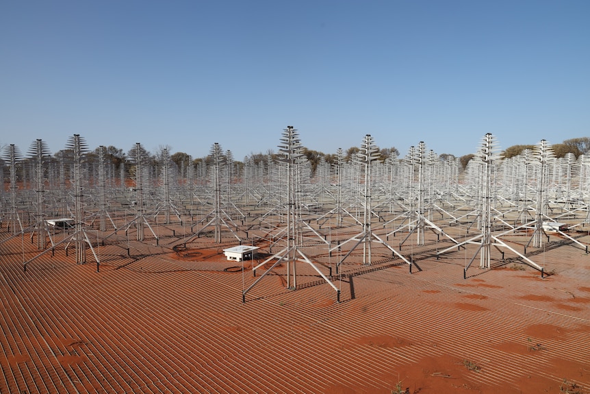Christmas-tree-shaped antennas in a grid formation in the desert.