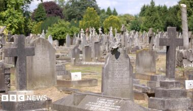A wide shot of many graves in a cemetery.