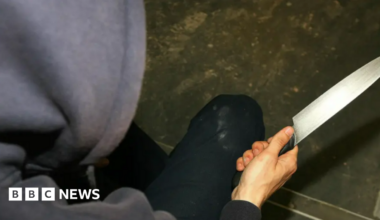 Person holding a kitchen knife. They are wearing a dark grey hood.