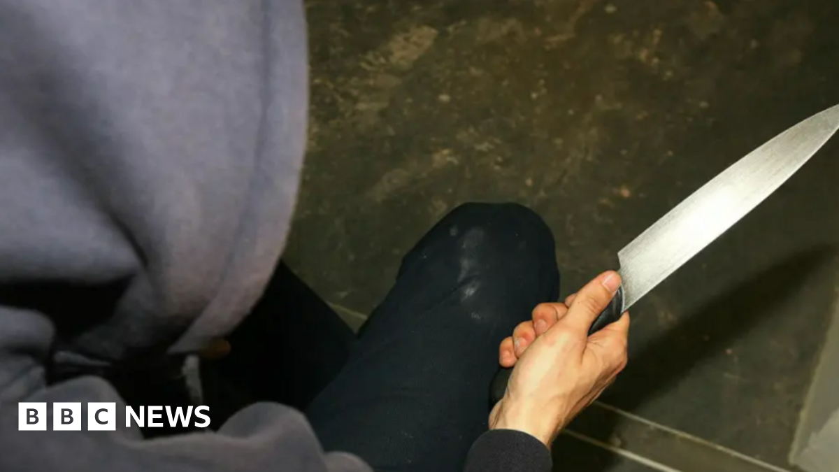 Person holding a kitchen knife. They are wearing a dark grey hood.