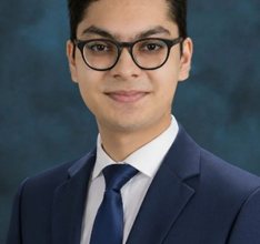 Statutory Ambiguity and Democratic Accountability in U.S. and U.K. Public Law