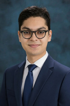 Statutory Ambiguity and Democratic Accountability in U.S. and U.K. Public Law