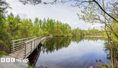 A wooden path winds around the edge of the water at High Dam Tarn. It is surrounded by shrubs and trees.