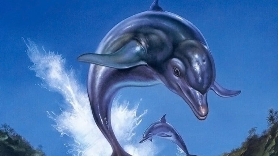 Ecco the Dolphin