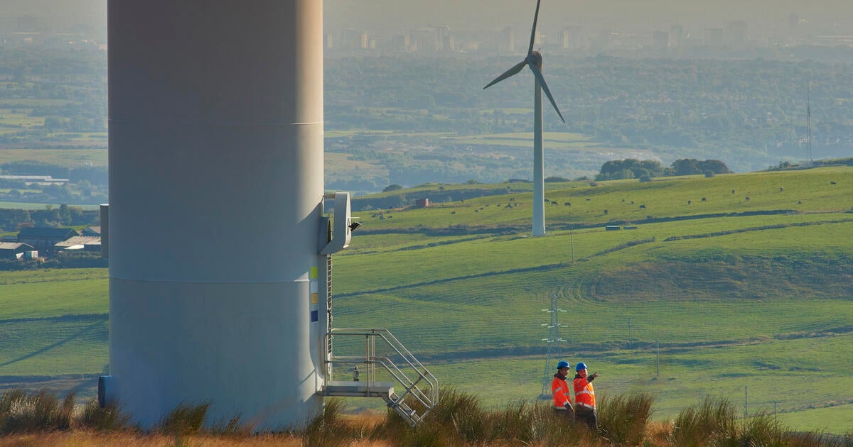 ‘Disappointing’ UK tax ruling will hit projects across sectors, say experts