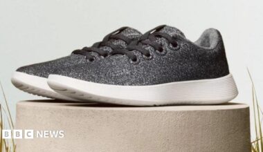 A grey Allbirds shoe placed on a display platform for a promotional image