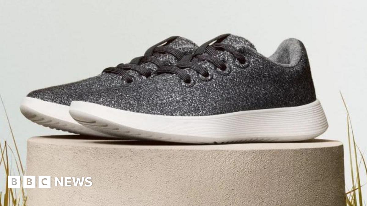 A grey Allbirds shoe placed on a display platform for a promotional image