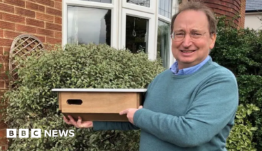 Eddie Bathgate standing in front of a bush outside a home. He is holding a nest box and wearing a green jumper over a blue shirt. He is smiling and looking into the camera.