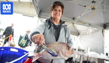 At this Canberra farmers' market, producers are making tough choices amid rising fuel prices