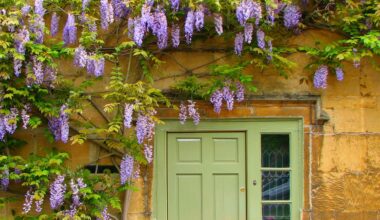 These Are The Best Places To Find It In The UK