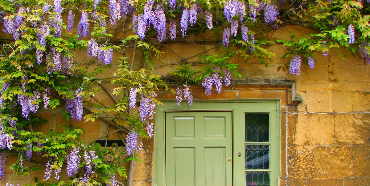 These Are The Best Places To Find It In The UK