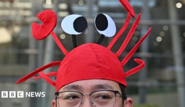 A man wears a lobster hat that represent the OpenClaw logo, an open-source AI assistant at the Baidu headquarter in Beijing on March 11, 2026