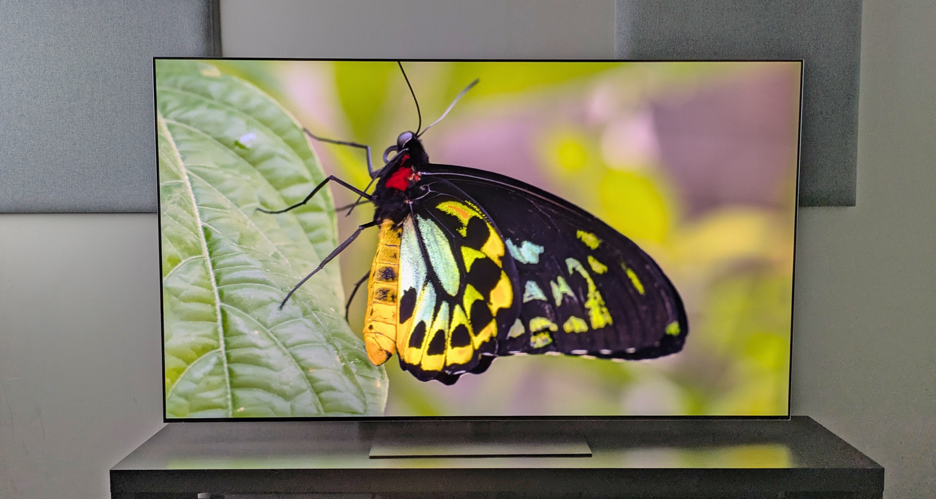 LG G6 review: the best OLED TV for watching in even bright rooms