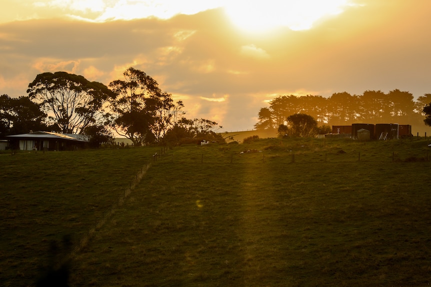 Light streams through clouds as a setting sun sits above the tree line with green fields in the foreground.