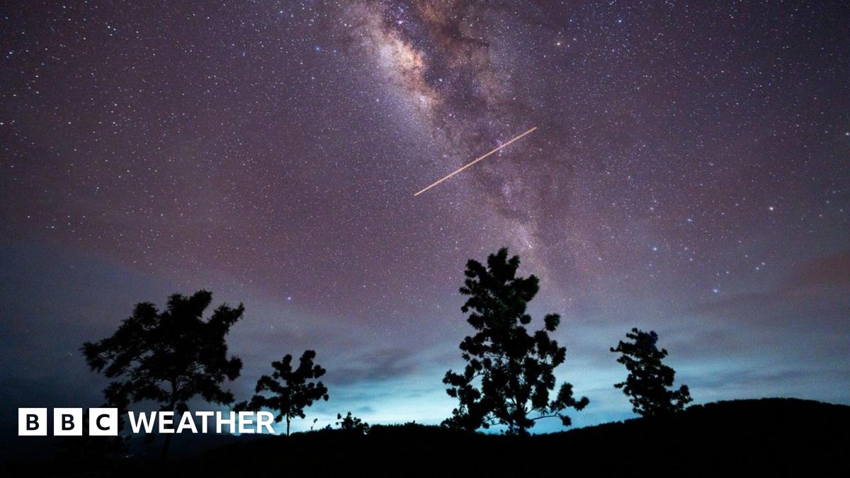 a view of the Eta Aquarid meteor shower in a starry night sky with four trees silhouetted