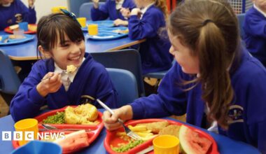 Two school girls are sitting eating their school dinners. One has jacket potato and peas with fruit, and the other has fish and chips with peas and fruit. They are wearing a navy blue school uniform and smiling at each other
