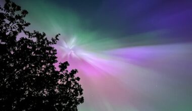 how technology can help you to notice nature in new ways