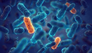 What a ‘post-antibiotic era’ could mean for modern medicine