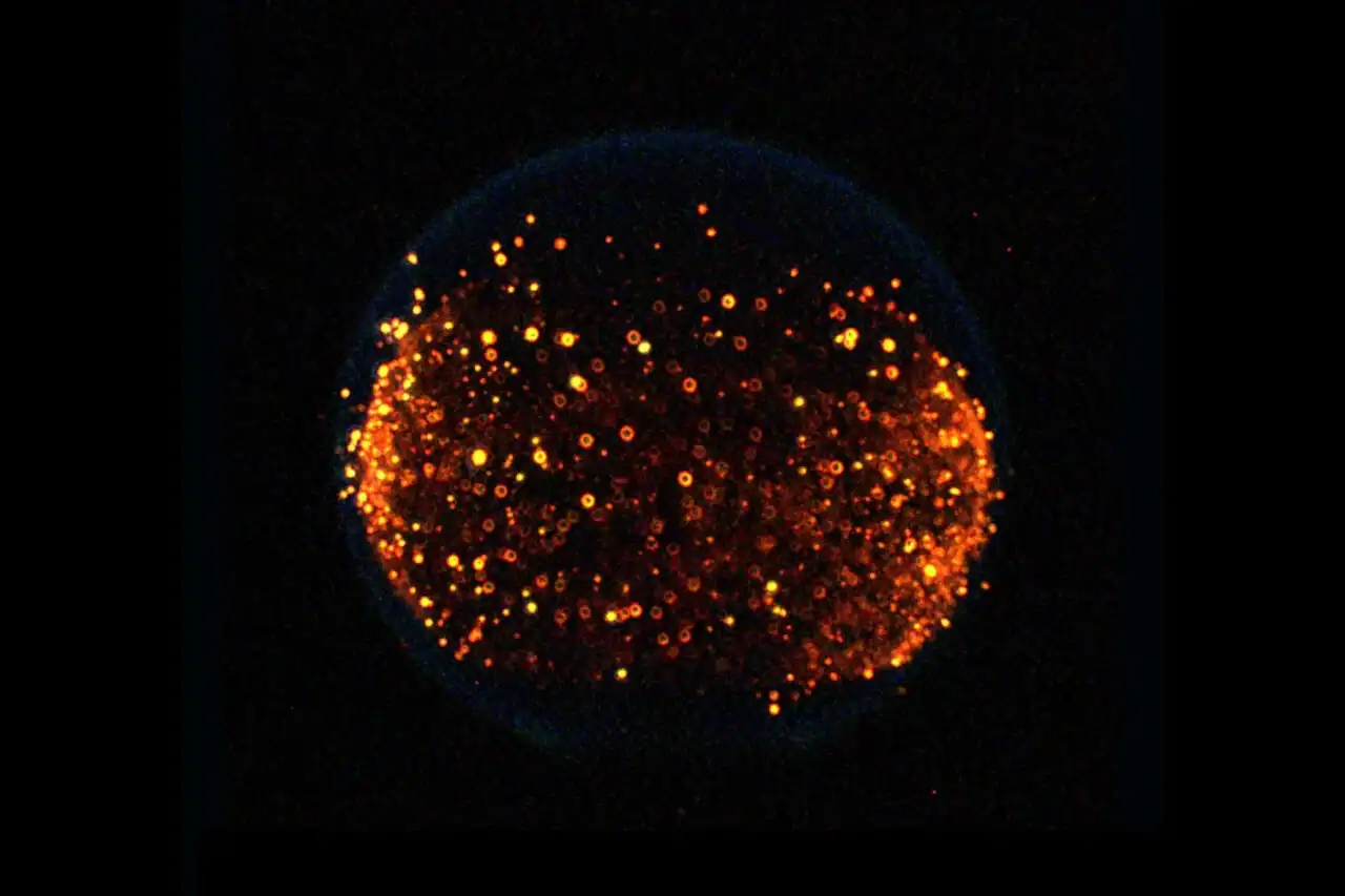 Bright cosmic particles forming a glowing sphere in space.