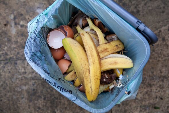 Opened food waste bin including egg shells and banana skins viewed from above Opened food waste bin including egg shells and banana skins viewed from above