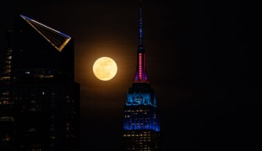 A yellow full moon is pictured glowing between two skyscrapers in the night sky.