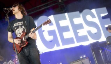 No, Geese Is Not a Psy-Op