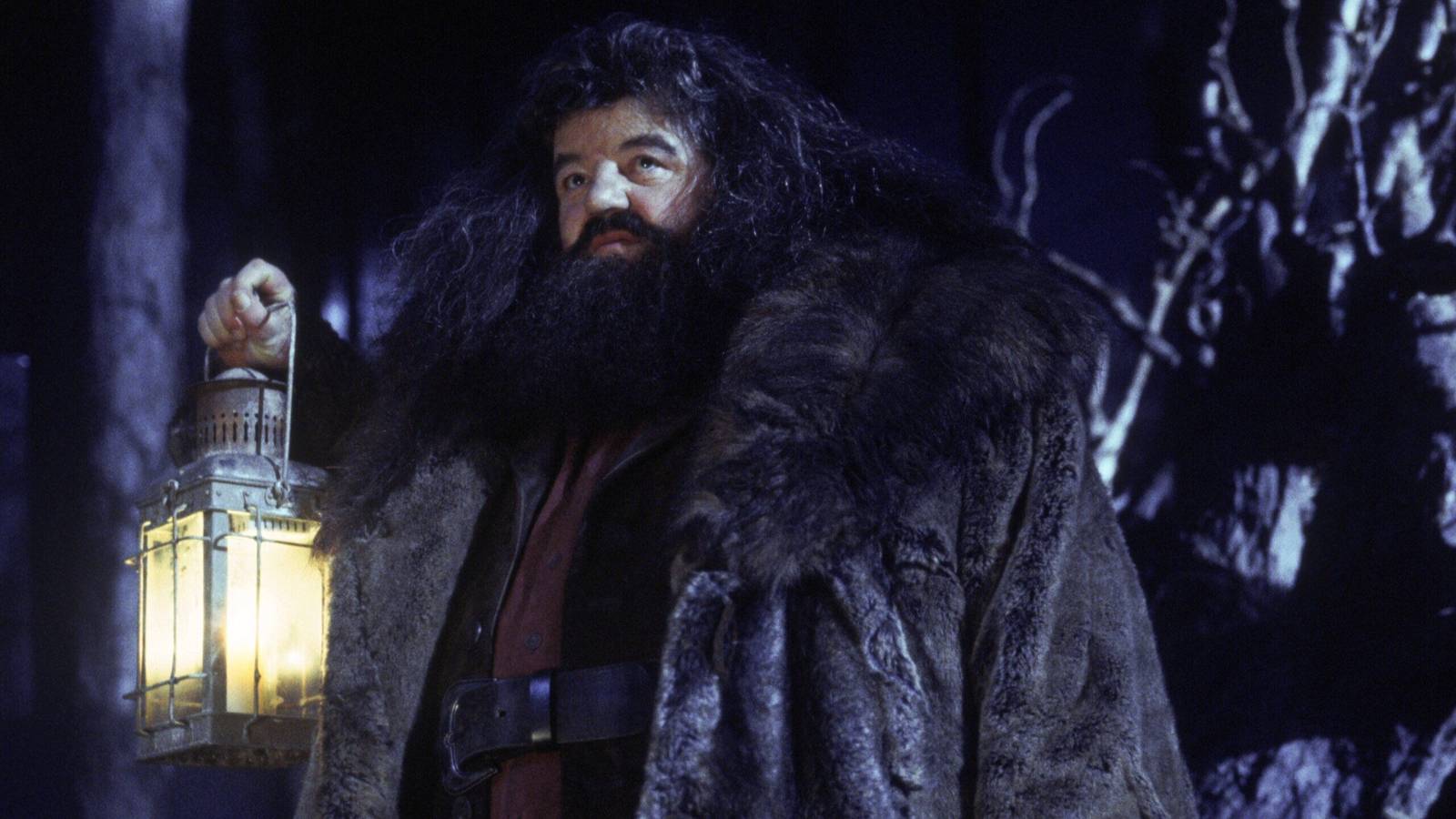 HBO’s Harry Potter Will Include A Non-Canon Hagrid Scene Cut From The First Movie
