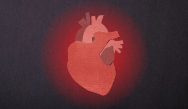 Heart Disease Is Preventable. So Why Does It Kill So Many of Us?