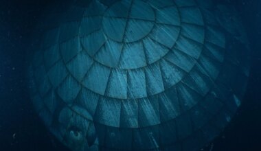 A large turtle seen underwater, showing the textured, patterned surface of its shell and a partially visible head in the bottom left corner, surrounded by dark blue water.