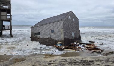 The human cost of net zero