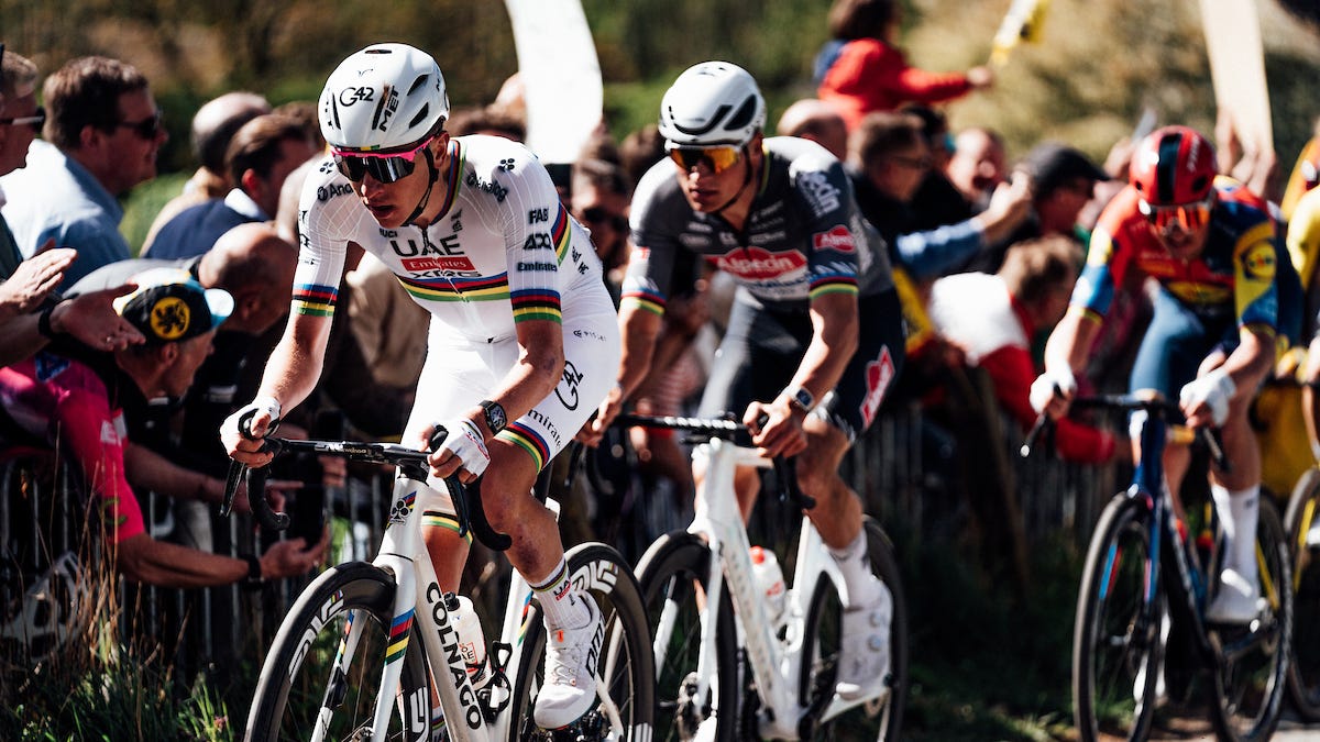 5 Tour of Flanders contenders and 5 wildcards 🇧🇪