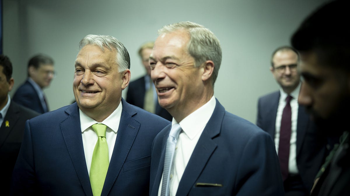 What happens to Britain's radical right if Orbán loses?