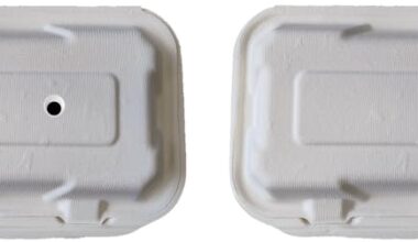 Drawing googly eyes on food could save it from seagulls